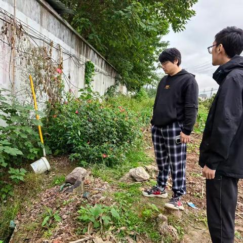 六怀工业区黑臭水体巡查