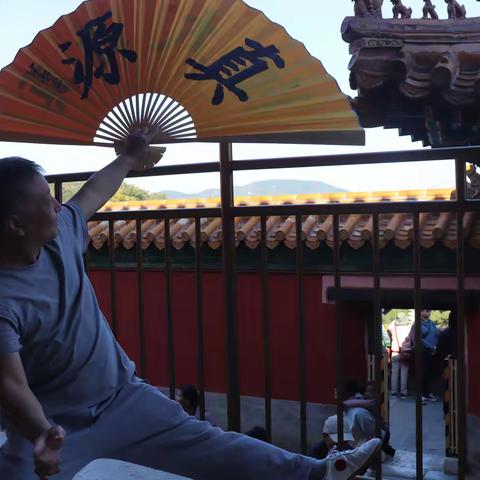 真源太极动功展示