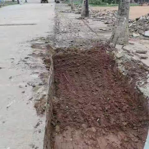 2023年校舍安全项目一校道建设