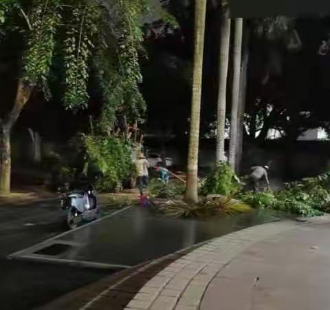 海口市丰南中学校容校貌改观一览表
