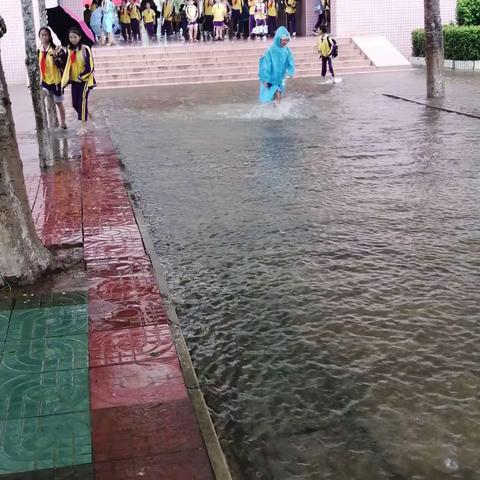 海口市丰南中学2022年校园排水改造
