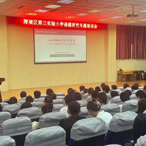 专家引领明方向     科研赋能促发展——德州市陵城区第三实验小学课题研究专题培训会