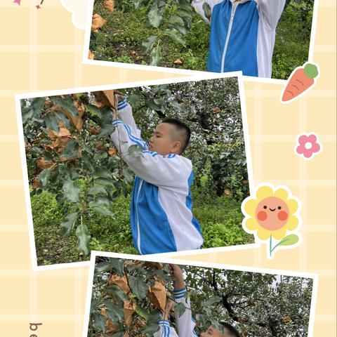 金秋十月，我是劳动小能手