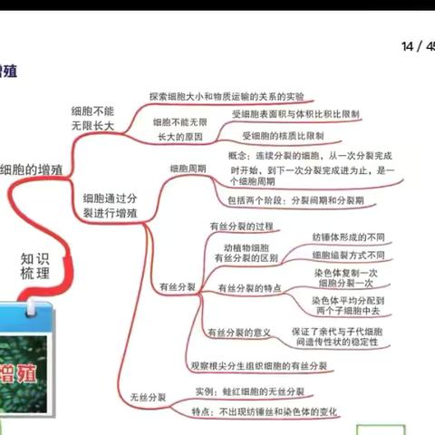 学业水平：画一个学科思维导图