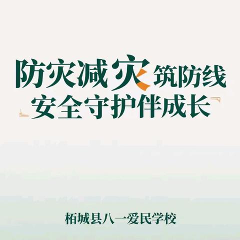 防灾减灾筑防线 安全守护伴成长——柘城县第二实验小学教育集团八一爱民学校第十四周周会活动纪实