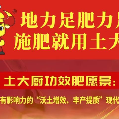 玉米高产施肥方案