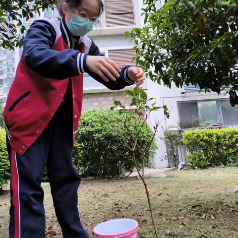 用勤劳哺育大地,用劳动创造未来