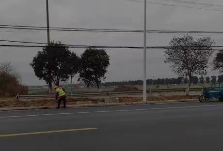 不惧严寒 扮靓城市