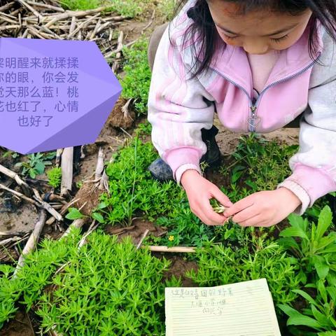 清明时节雨纷纷