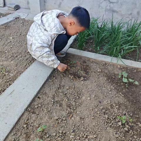 五一劳动节