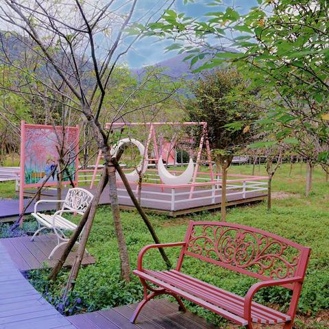 我在蒲公英花园等你