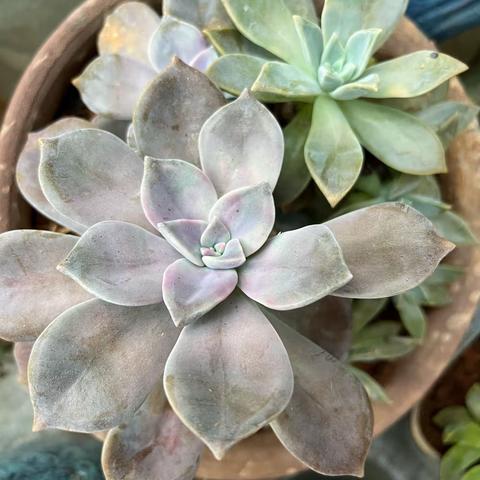 泉塘中学C231班 刘镕绮