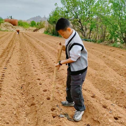 五一劳动节：在劳动中感受生活的温度
