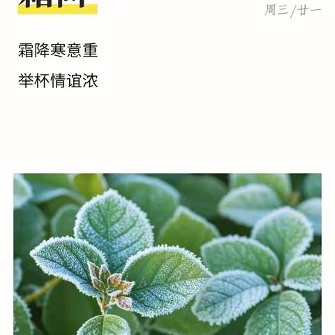 共“阅”佳节，传承文化——洋县城北小学二年级五班10月份读书静态展活动