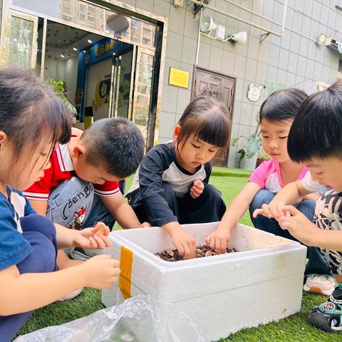 我上大班啦——艾可笛幼儿园大四班九月份总结