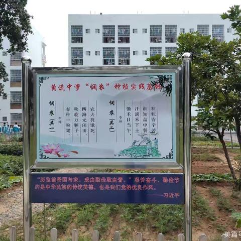 深耕劳动沃土 美育浸润童心 ——黄流中学“悯农”劳动实践基地育人纪实