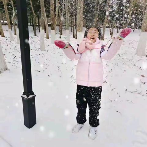 赏雪——玩雪——写雪