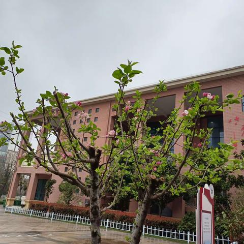 记录过往  分享美好