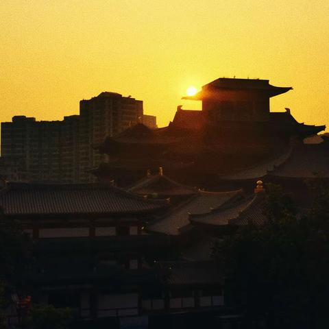 粤黔相牵师徒情，科技之光耀前景