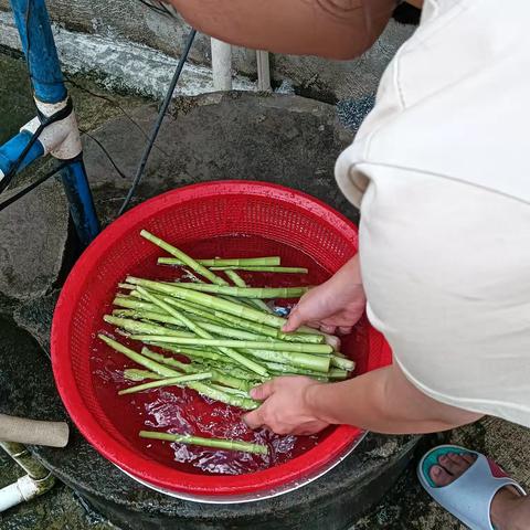 制作泡菜