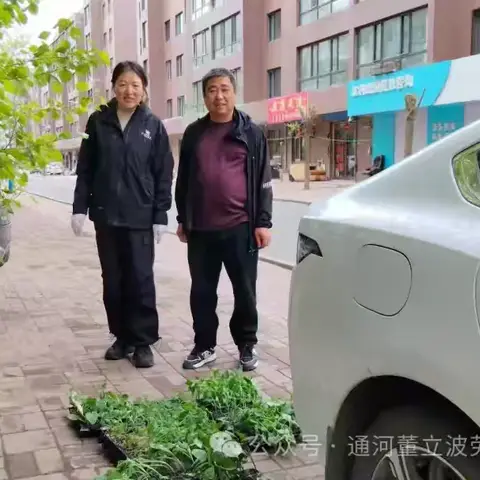 小菜园劳动——六年一班