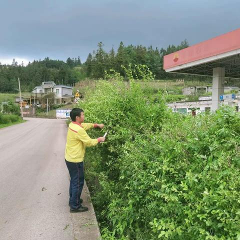 曲靖公司阿鲁加油站利用空闲时间对油站空地进行清理并种植蔬菜。