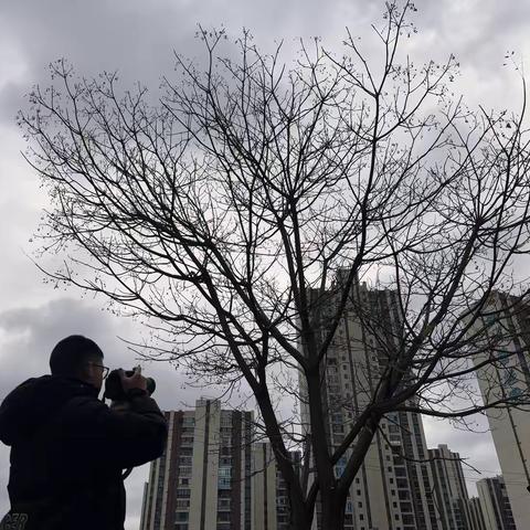 立春