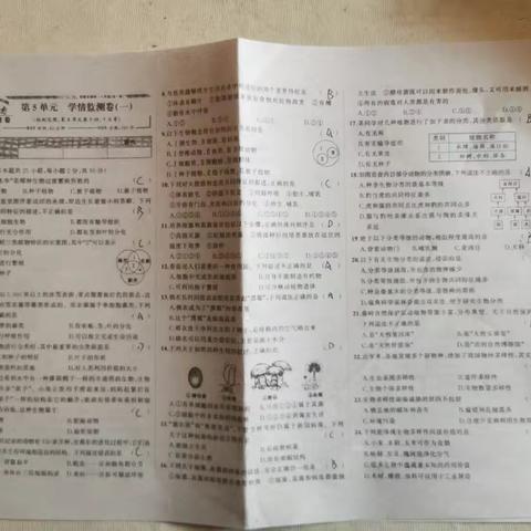 李鸣宇10月7号作业