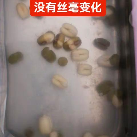 中秋国庆双节愉快