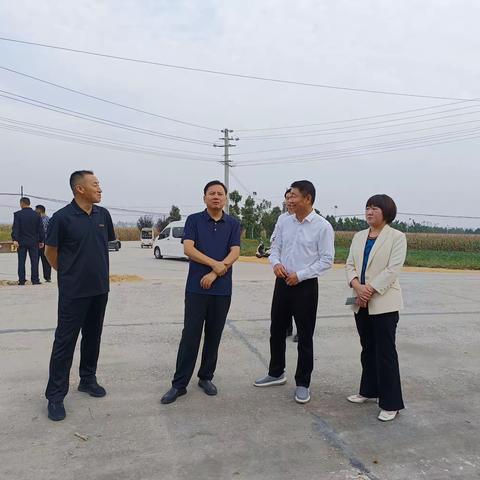 永城市委书记曾凯莅临太丘镇调研三秋生产以及项目建设工作