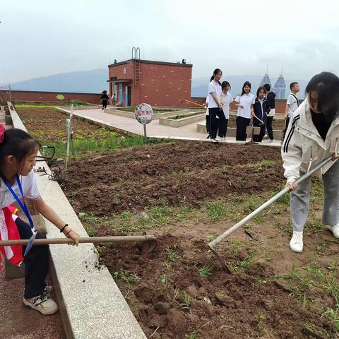 2026级29.30班               劳动教育之种植蔬菜