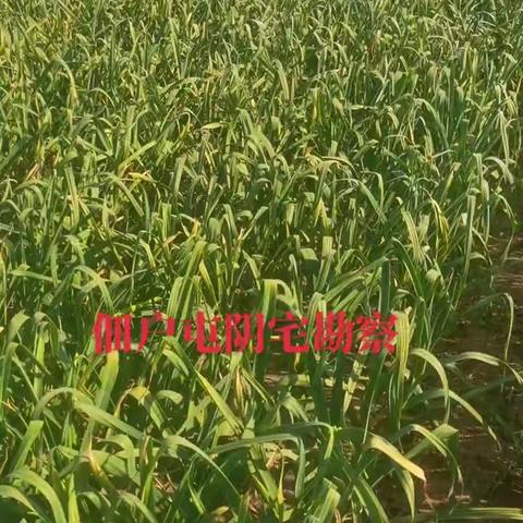 住房与心脑血管病