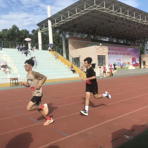 运动会总结