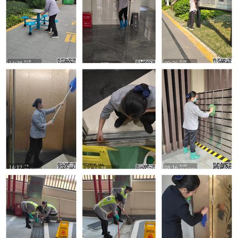 银光御品2025年3月份月报