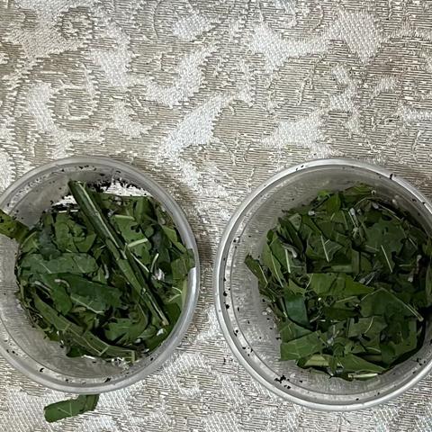 我的动物养成记