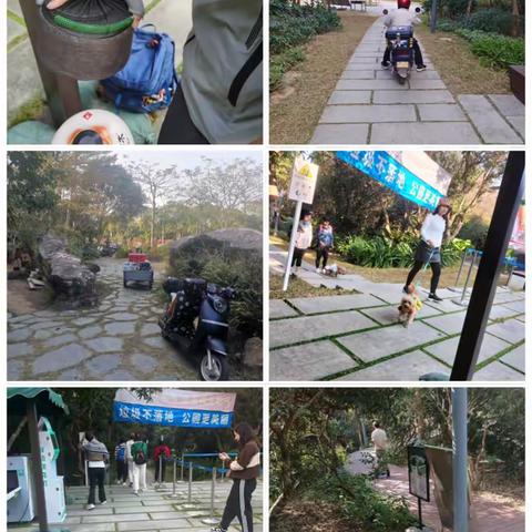 新大管理站2024年2月第三周工作汇报