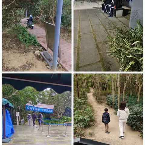 新大管理站2024年2月份第1周工作汇报