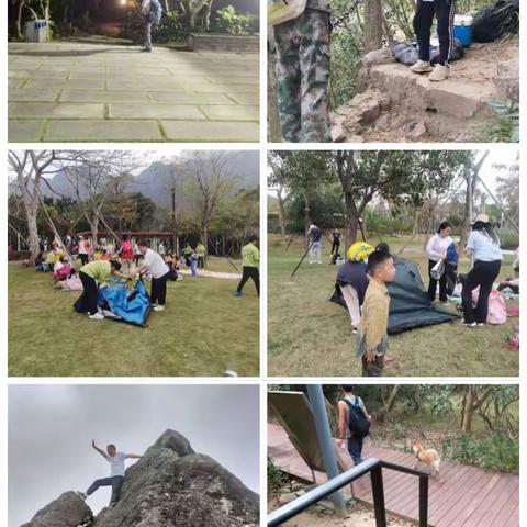 新大管理站2024年3月第5周工作汇报