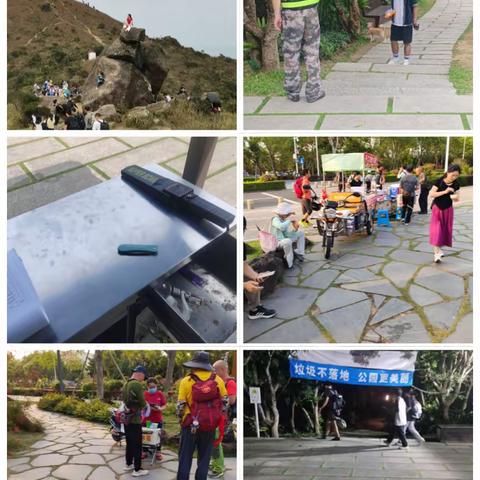 新大管理站2024年4月第三周工作汇报