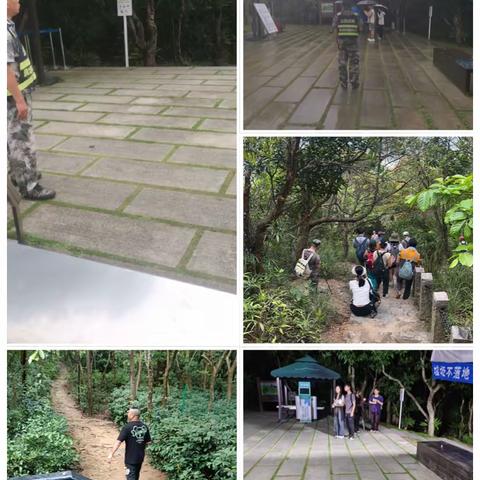 新大管理站2024年4月第4周工作汇报