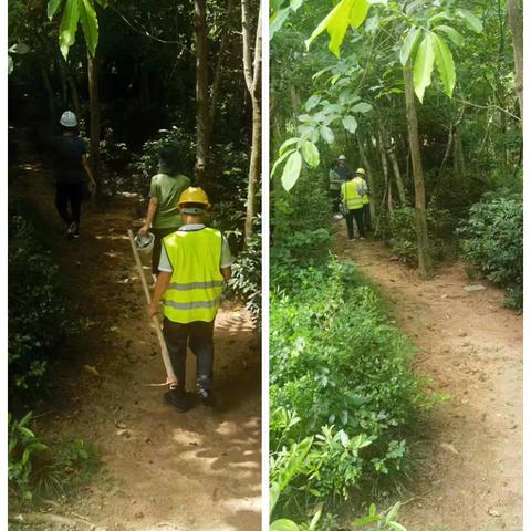 新大管理站2024年7月第四周工作汇报