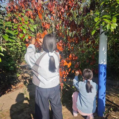 探索自然  发现奥秘——永丰县下袍村“幼吾幼”少儿之家主题活动