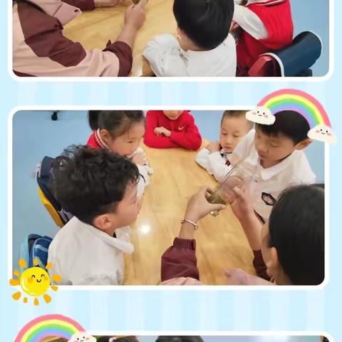 《“茶”润童心》大四班班本课程活动