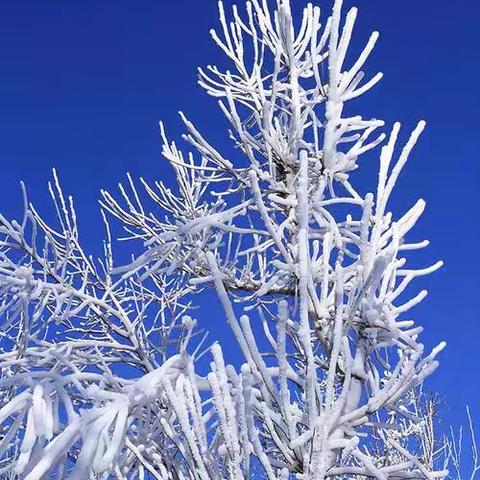 “玩雪”