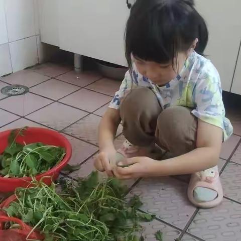 劳动最光荣，我们在行动——高密市康成小学一年级三班国庆假期劳动实践活动