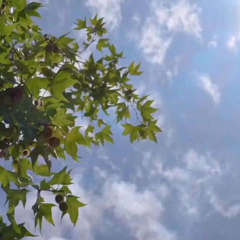 木果镇中心校防溺水安全宣传教育专栏