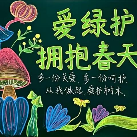 濮阳市油田五中七年级二班开展“爱绿护绿”活动