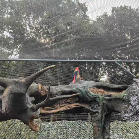 云帆组秋假游记