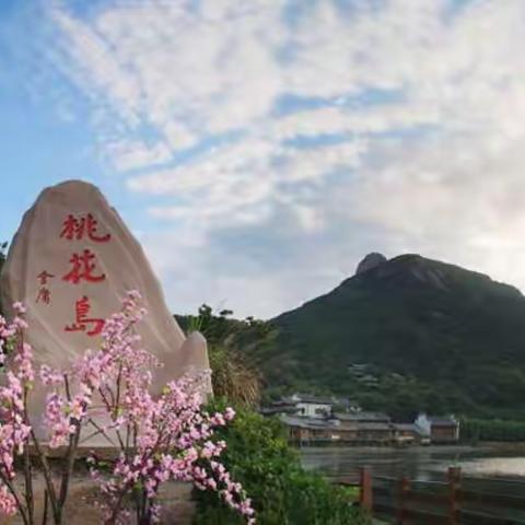 登峰八月桃花岛两日游