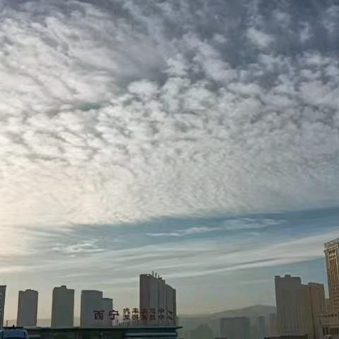 兰渝线上的温暖护航：成都三组以“一敏两用的服务理念”绘就铁路风景
